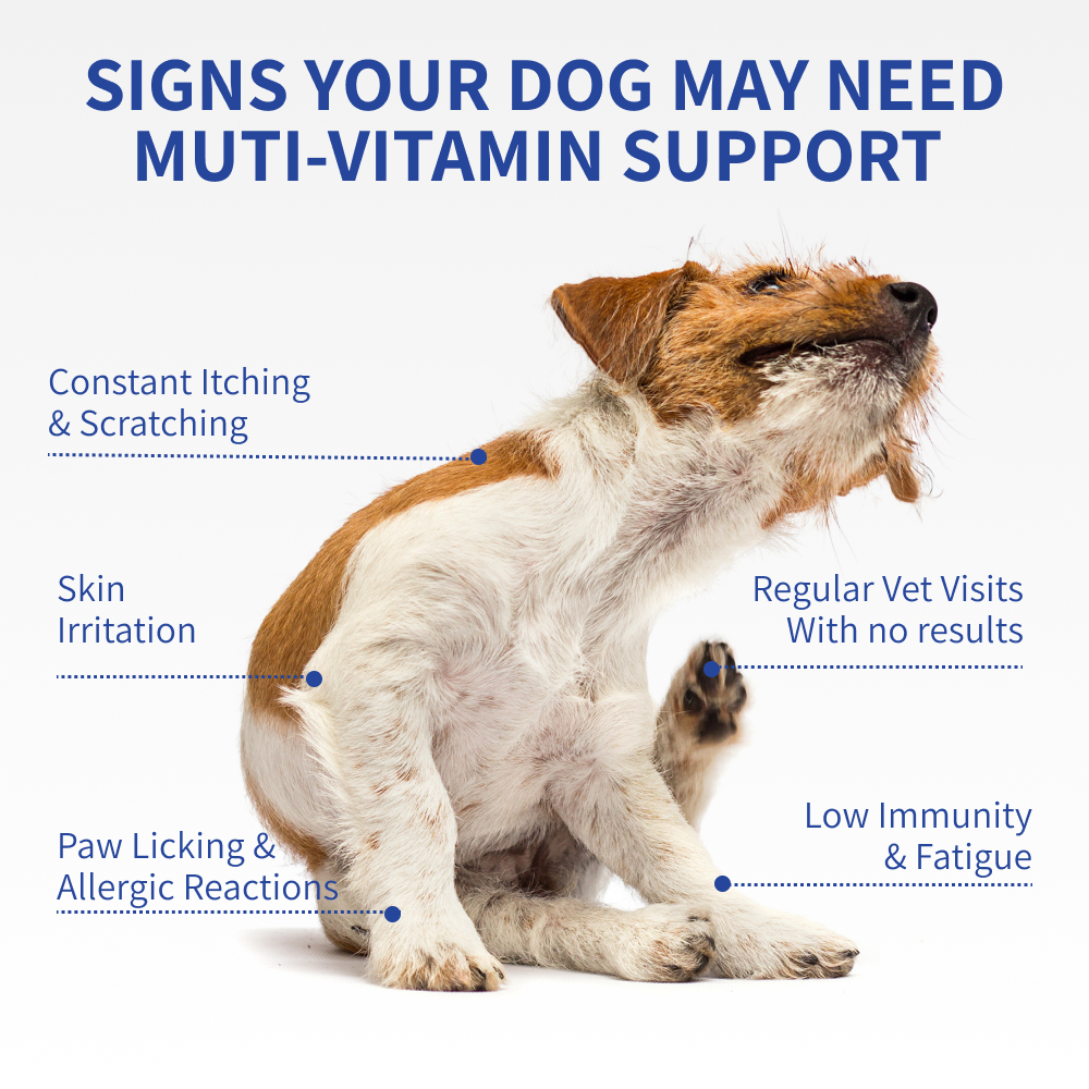 Multivitamin Allergy Chews